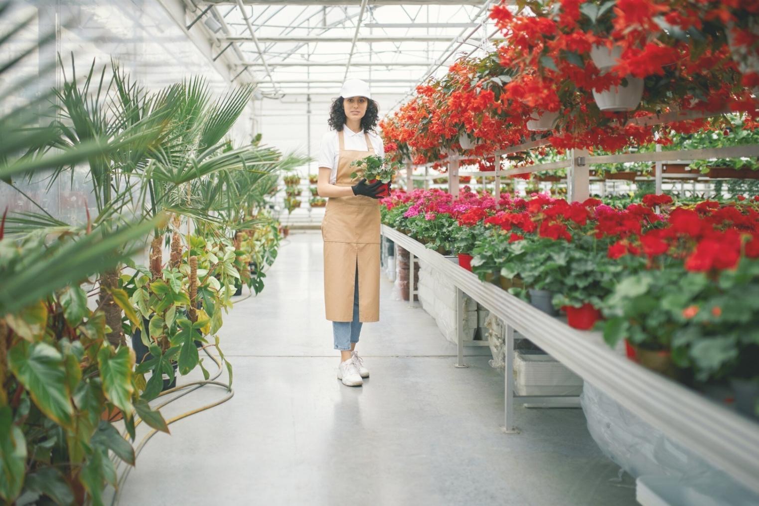 Beautiful seasonal flower arrangement demonstrating our design expertise